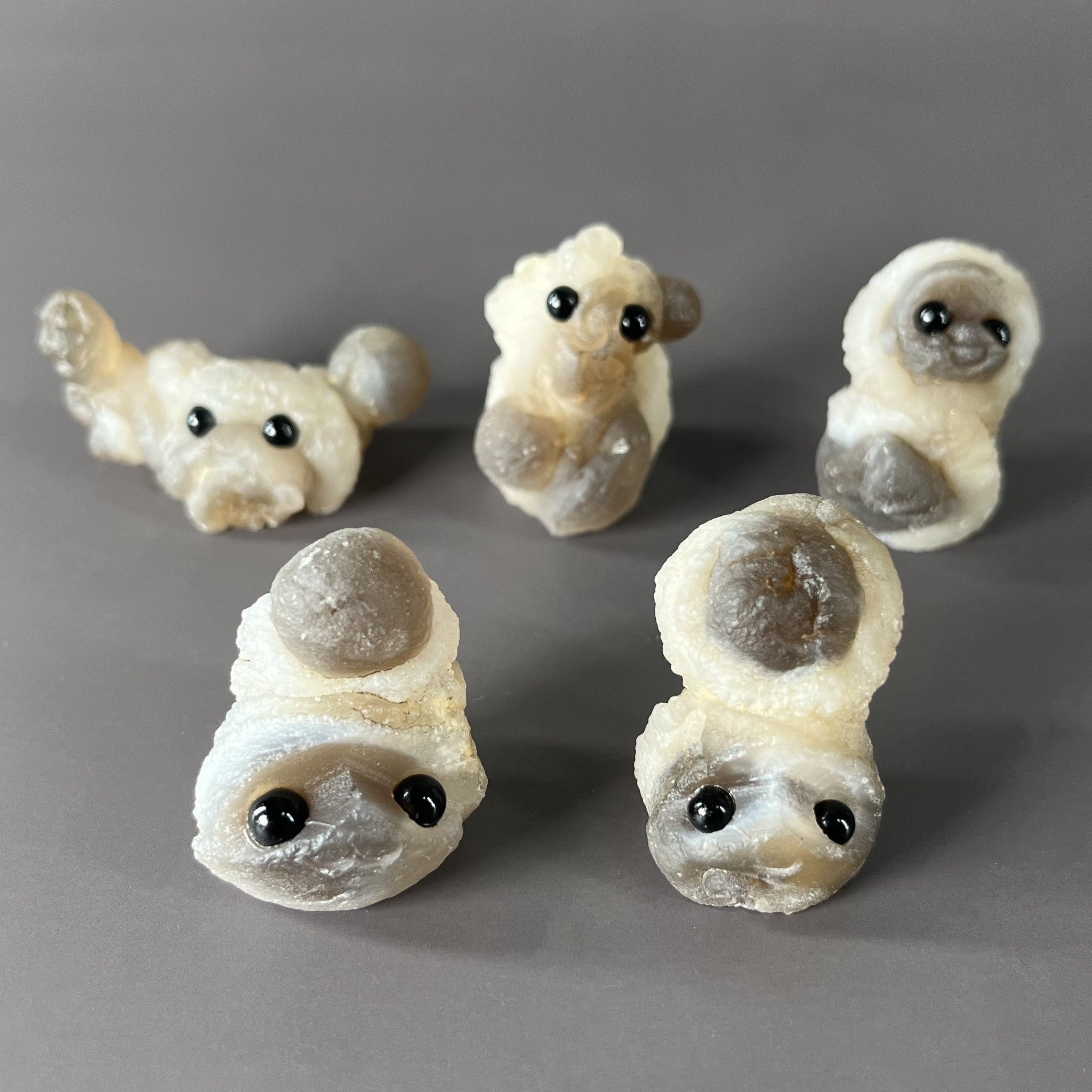 5PCS Raw Panda Agate Pet Rocks Group