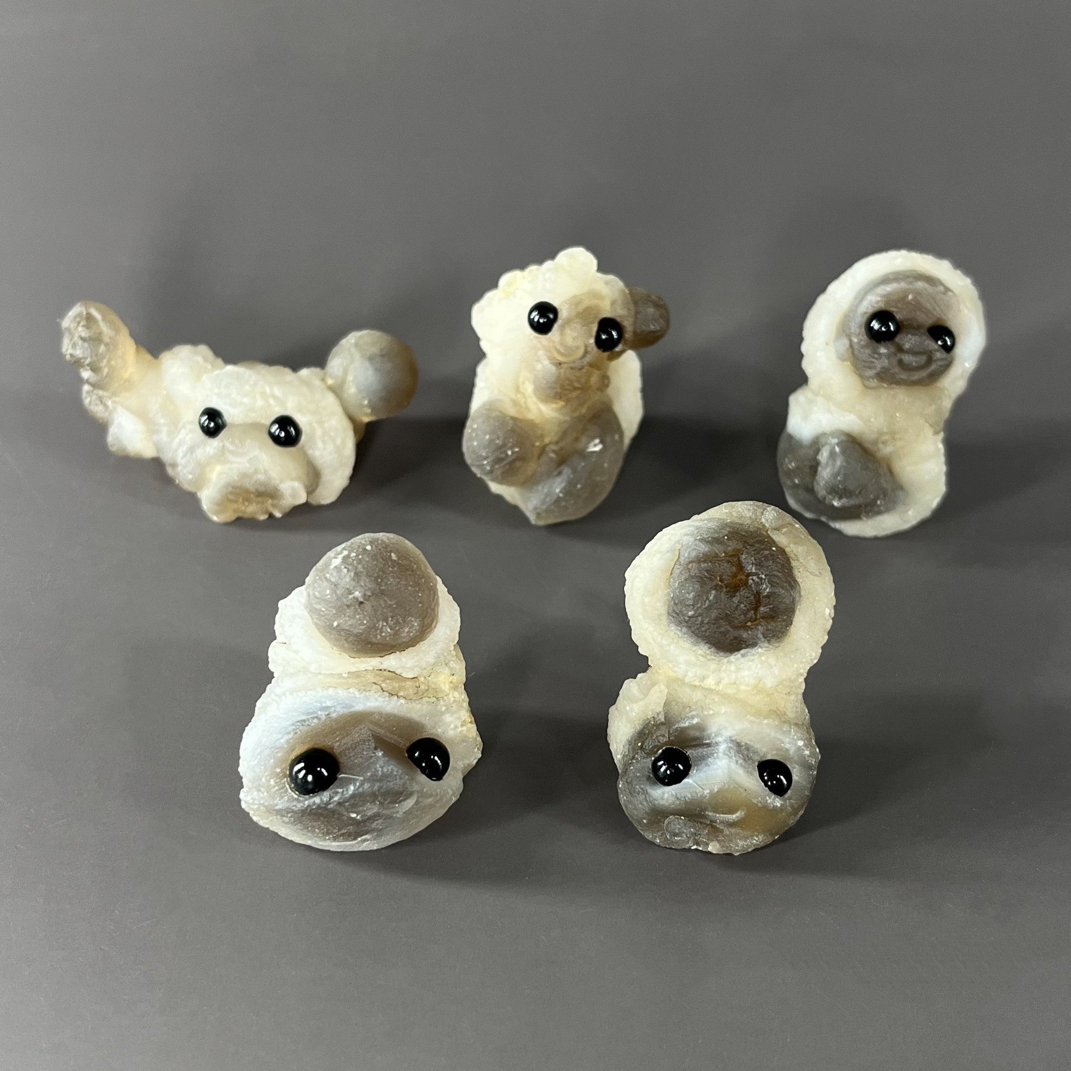 5PCS Raw Panda Agate Pet Rocks Group