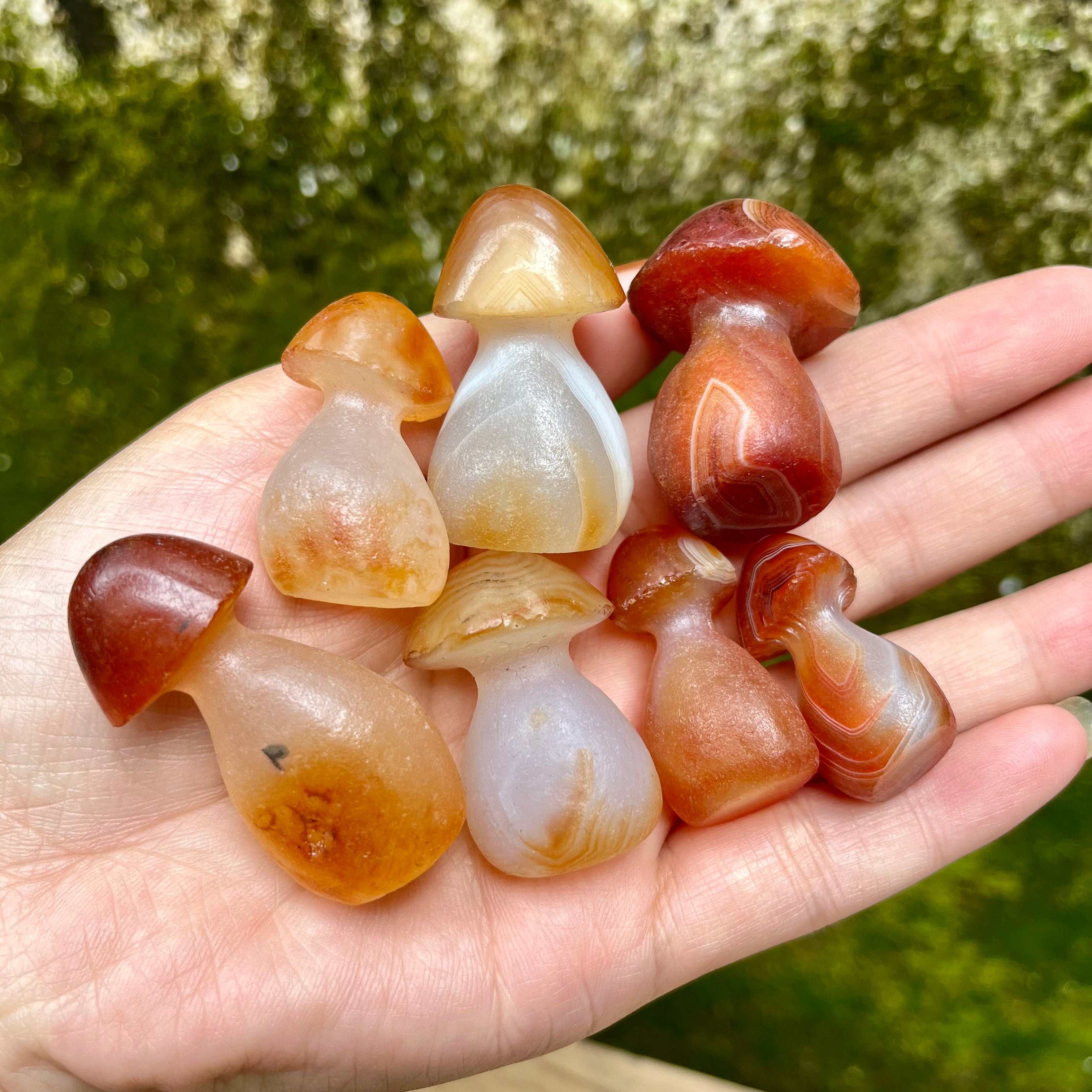 7PCS Natural Carnelian Raw Cut Mushroom Carvings