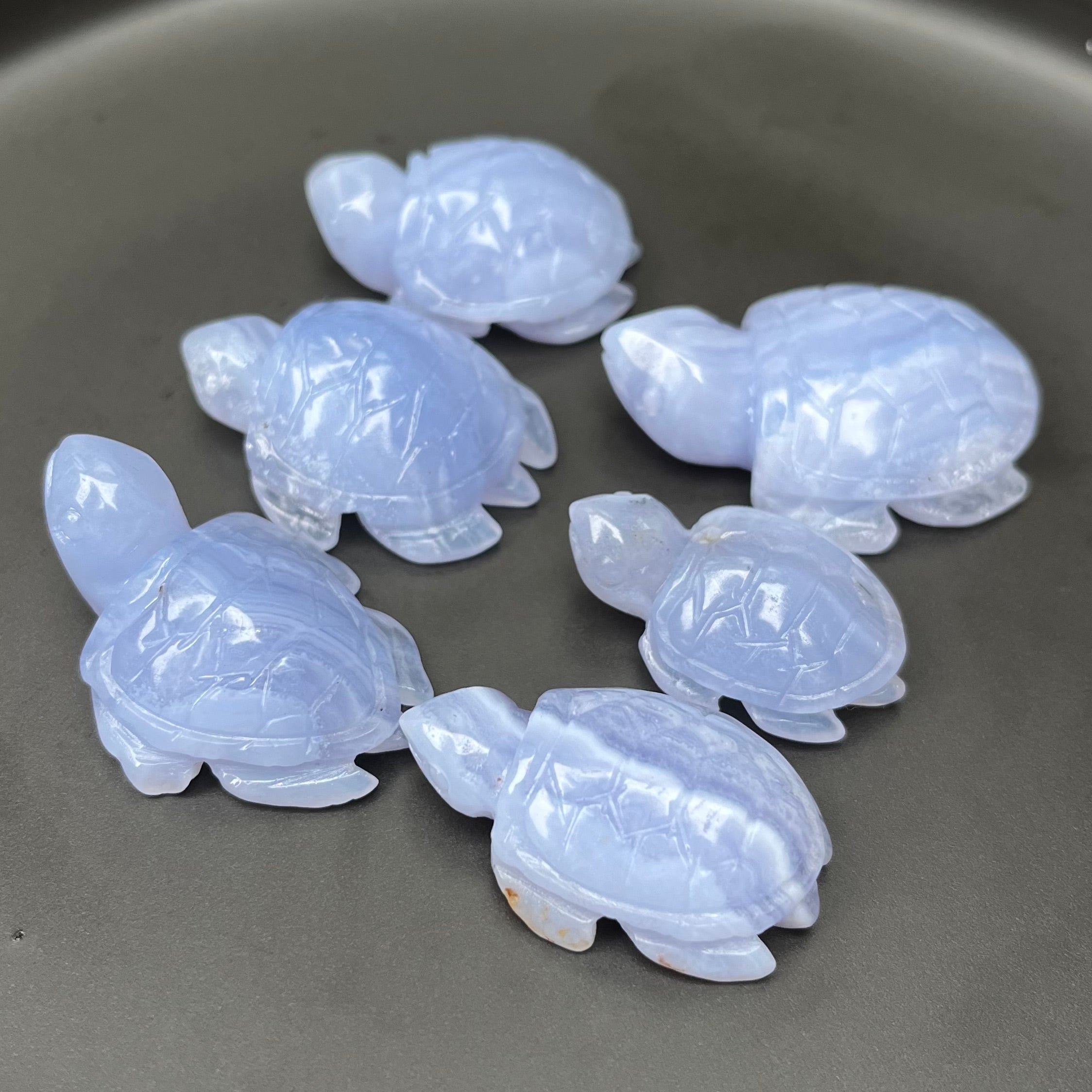 6PCS Blue Lace Agate Turtle Carvings