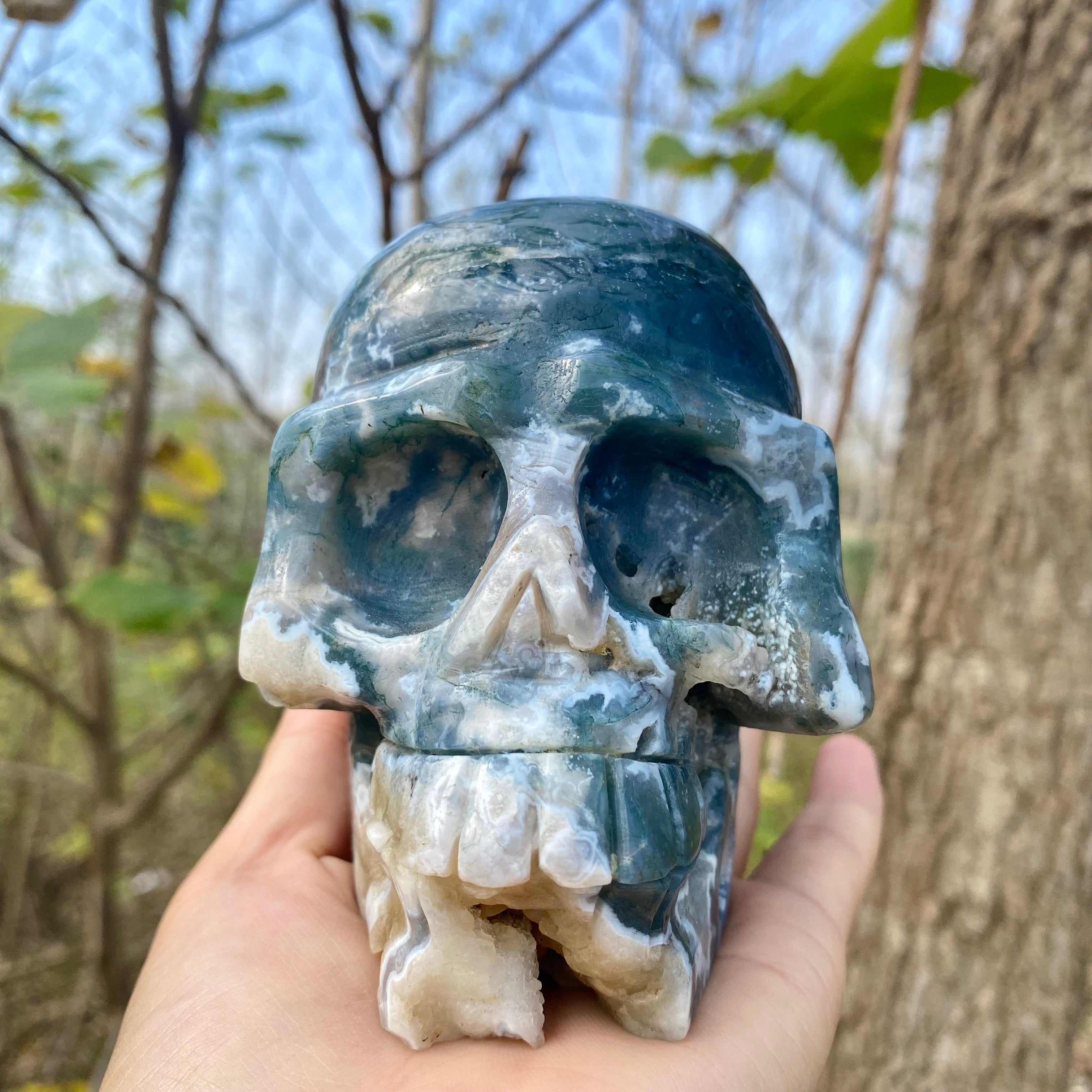 Natural Moss Agate Skull Skeleton Carving