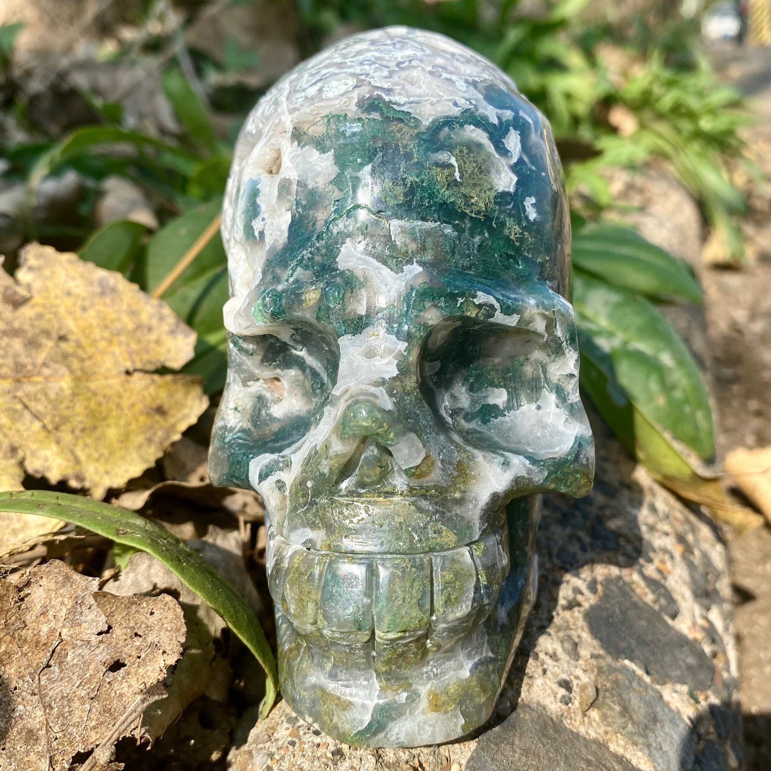 Natural Moss Agate Skull Skeleton Carving